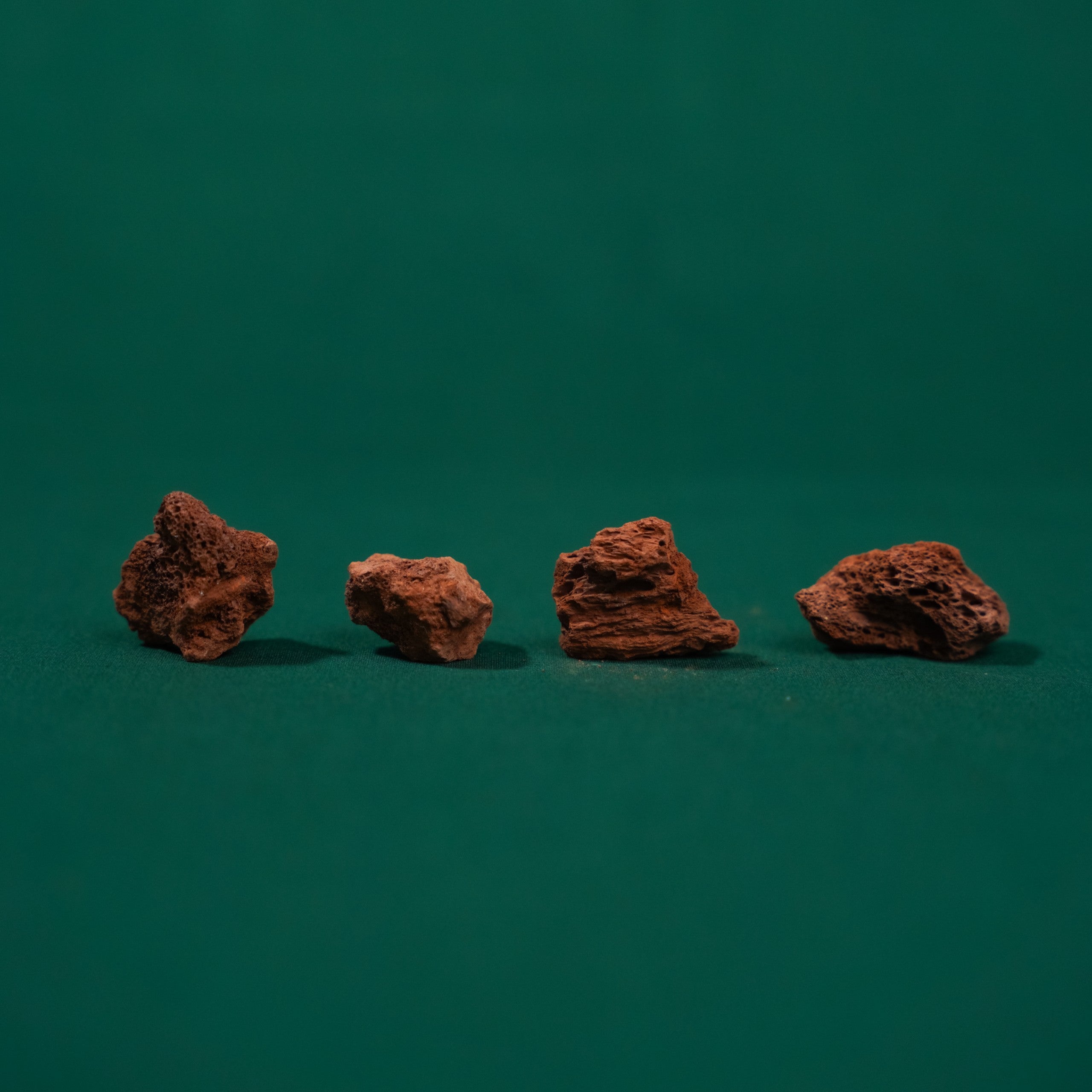 Red Lava Rock - 4 Pack | Plush Moon Terrarium Co